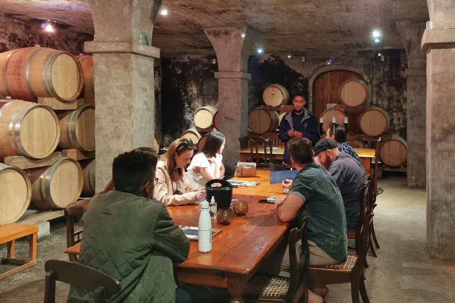 wildtrackers wine tours