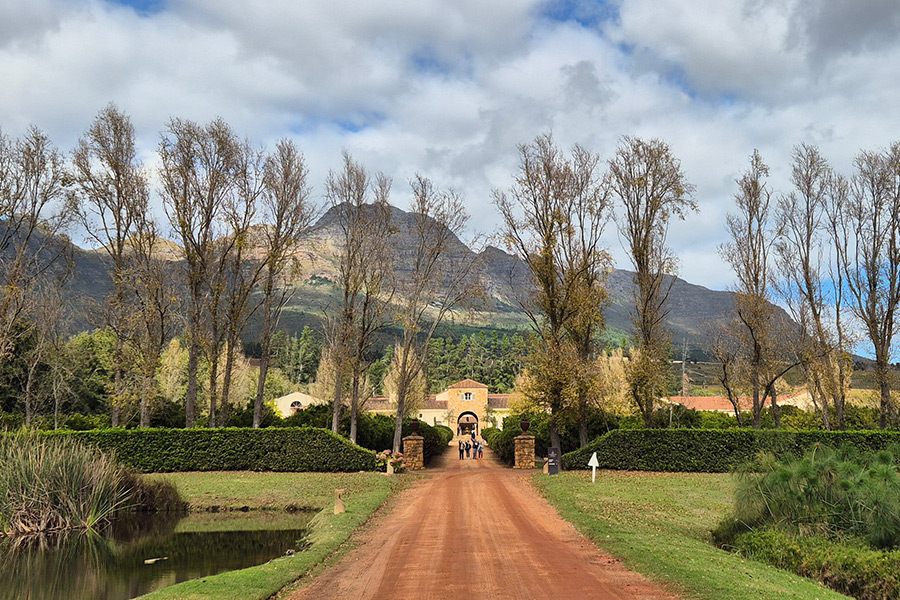 wildtrackers wine tours
