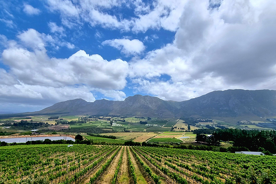 wildtrackers wine tours